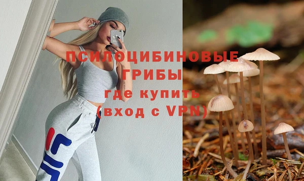 ECSTASY Абаза