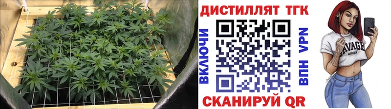 Дистиллят ТГК вейп  Протвино 