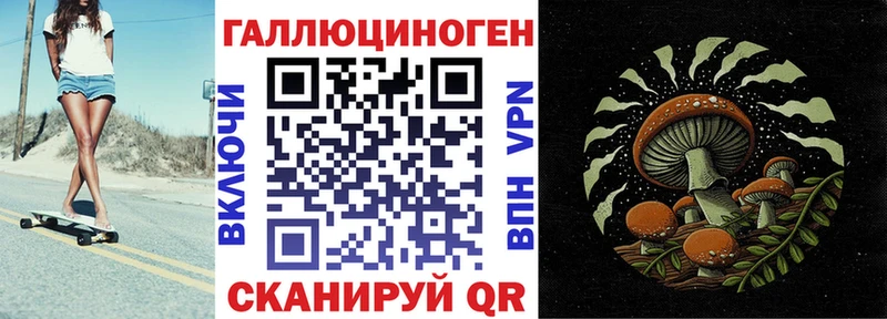 даркнет официальный сайт Протвино Псилоцибиновые грибы Psilocybine cubensis